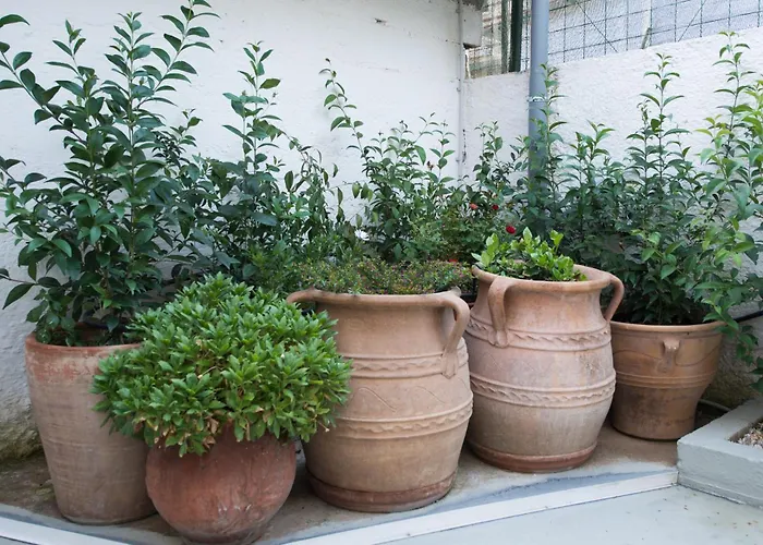 Privat bolig Cityscape House