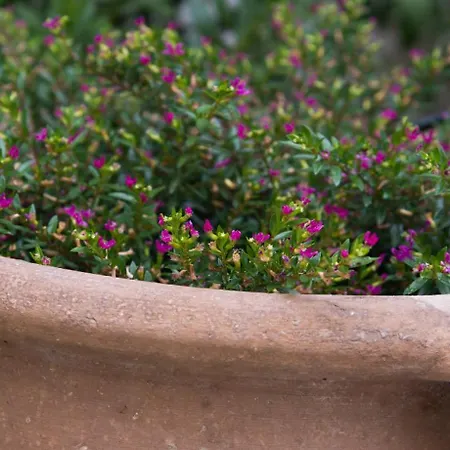 Accommodatie bij particulieren Cityscape House *