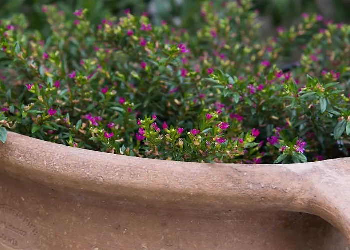 ホームステイ Cityscape House *