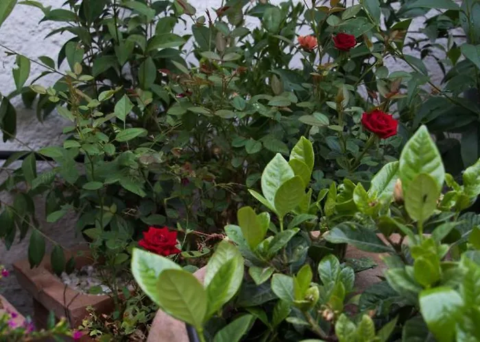 Cityscape House Accommodatie bij particulieren